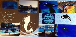 2013: Florida Spring Break Trip 2013: Sea World - Shamu