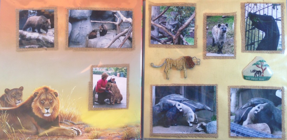 2008: San Diego Zoo