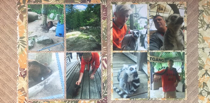 Europe Vacation 2015: Skansen 2