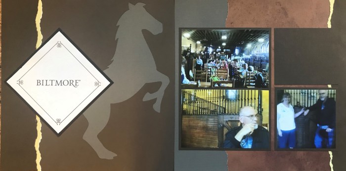 50th Anniversary: Biltmore - Stable Cafe