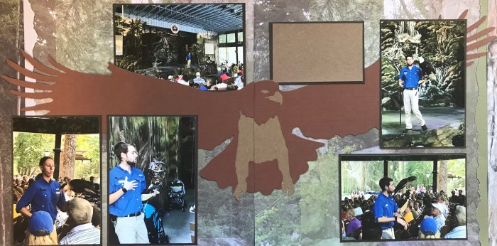 50th Anniversary: Dollywood – Wings of America Show Birds