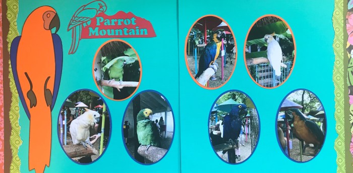 50th Anniversary: Parrot Mountain