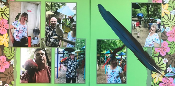 50th Anniversary: Parrot Mountain 2