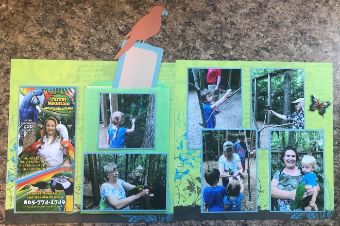 50th Anniversary: Parrot Mountain 3