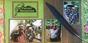 50th Anniversary: Parrot Mountain - 2nd Album page 1