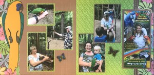 50th Anniversary: Parrot Mountain - 2nd Album page 2