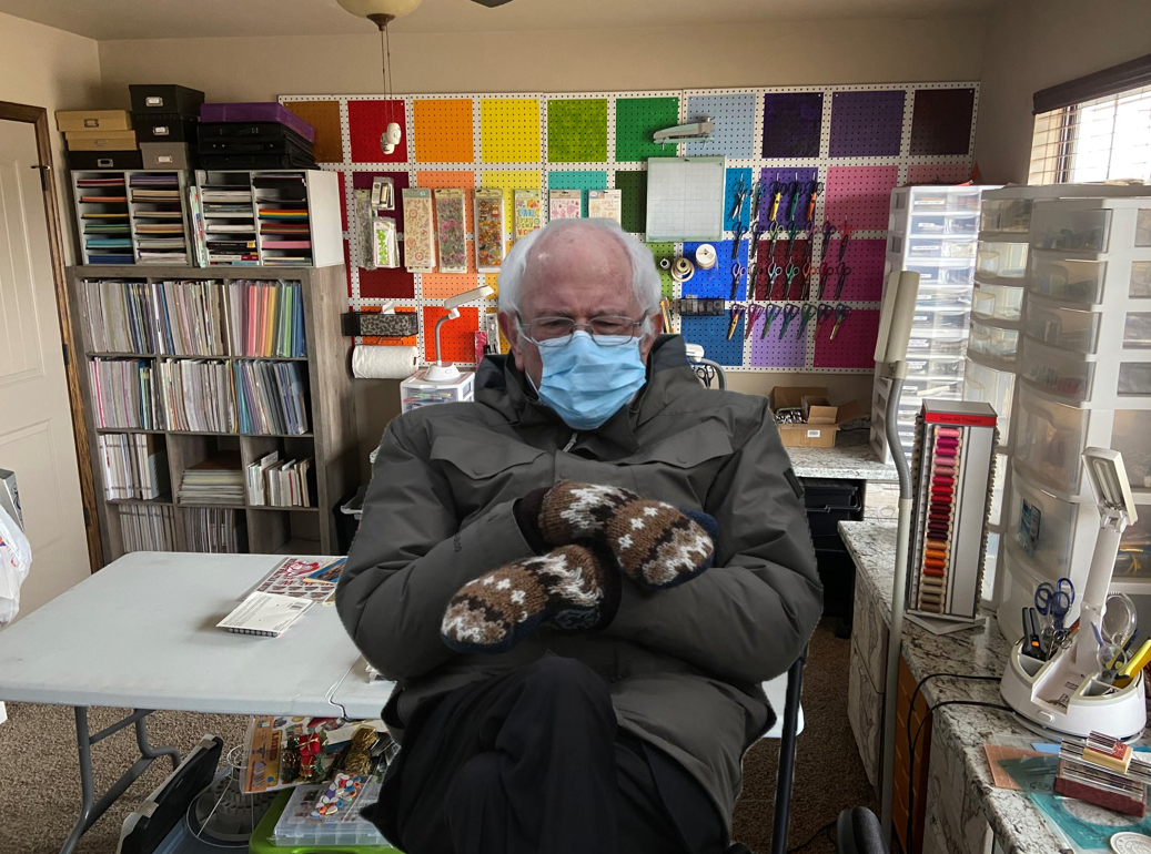 Bernie in my Craft Room