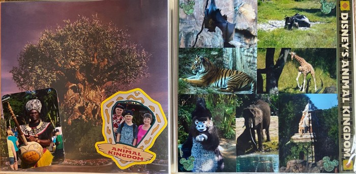 2010: Disney Animal Kingdom