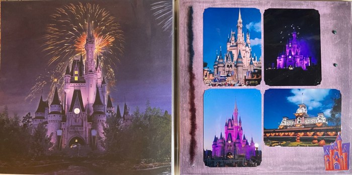 2010: Disney - Magic Kingdom 1