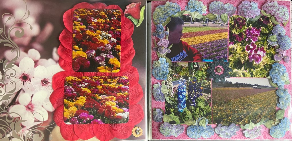 2011: Spring Break - The Flower Fields - 2