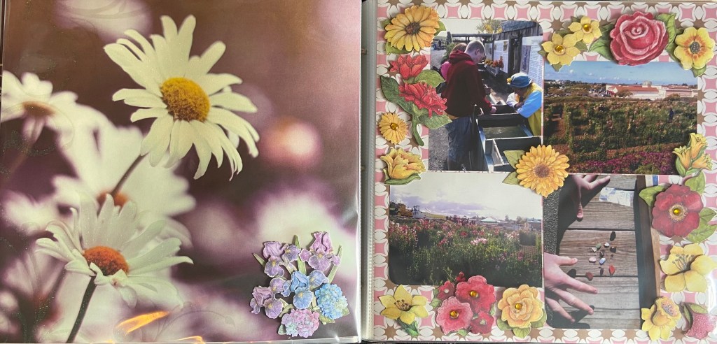 2011: Spring Break - The Flower Fields - 3